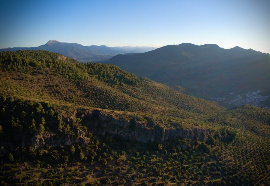 Olivar de Alta Montaña La Sierra de Segura
