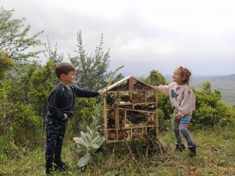 Experiencias Oleoturísticas en La Sierra de Segura